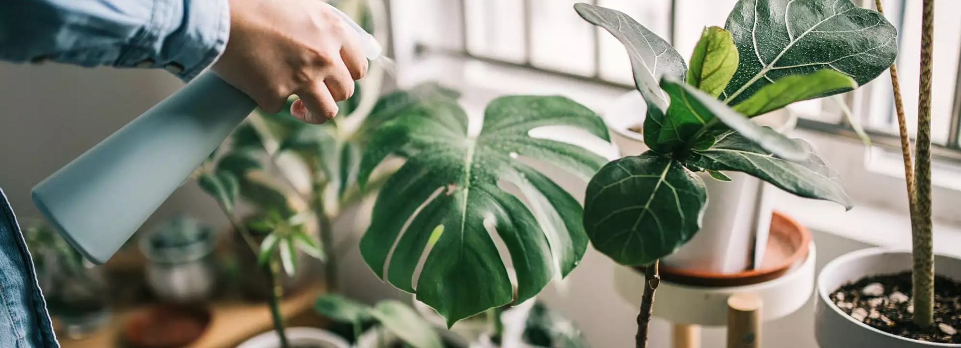 Smart grow light deals