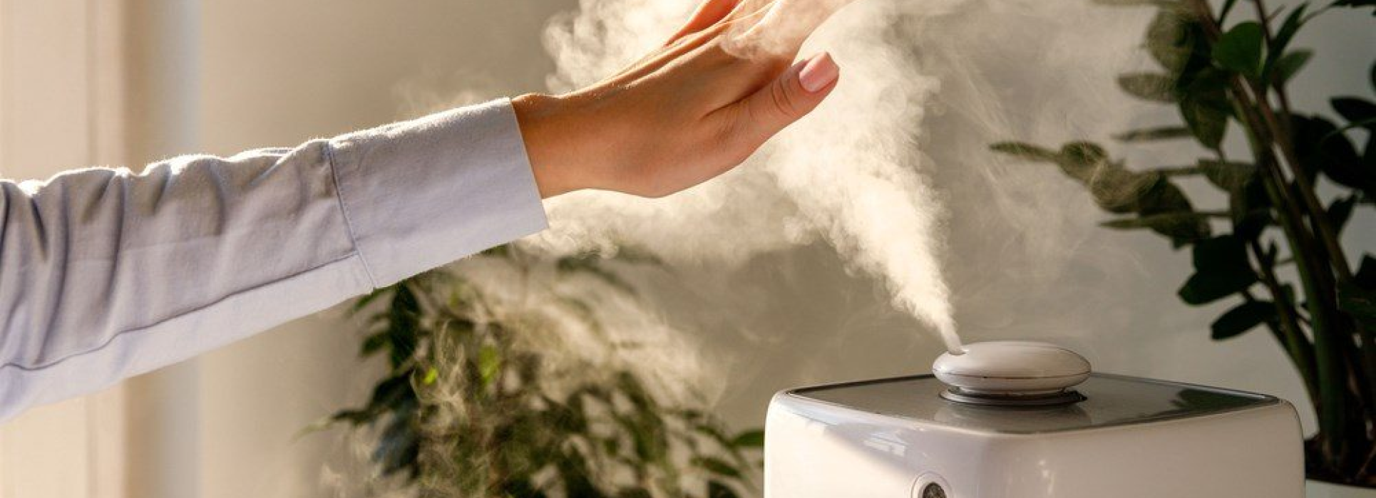 Beste Smart Home-Luftbefeuchter für 2023