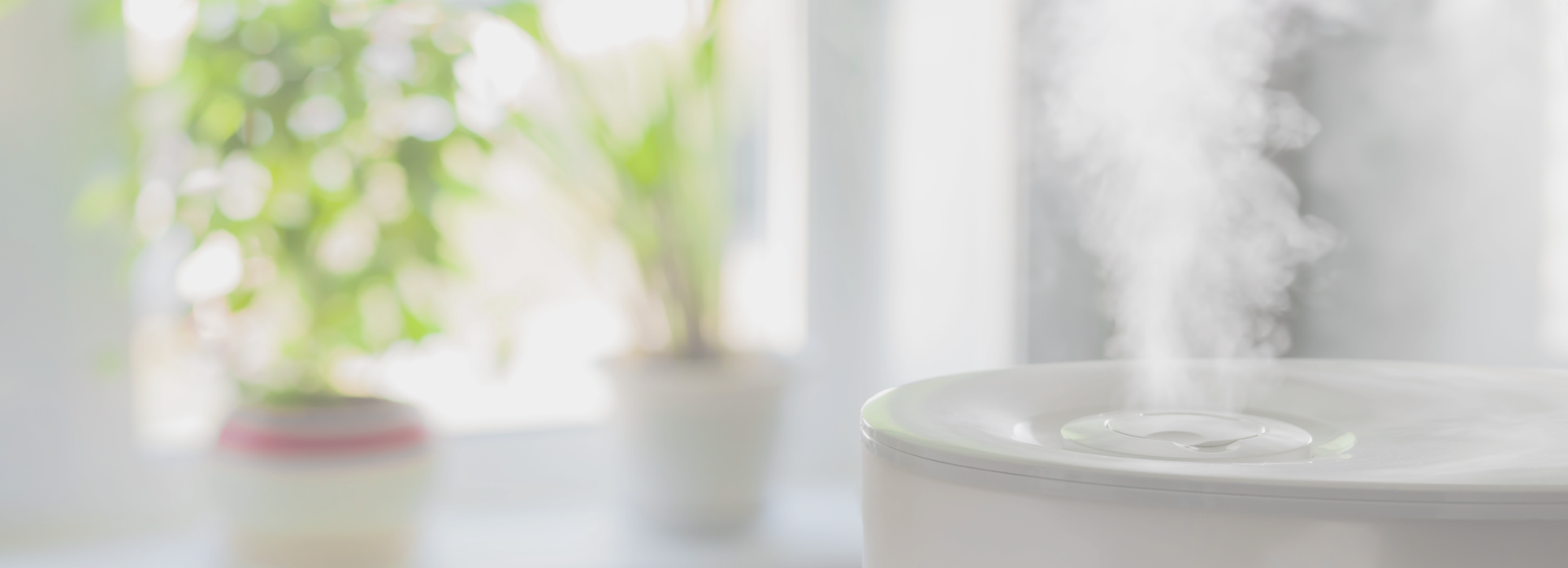 Smart Humidifiers Vs Traditional Humidifiers: Which One Is Better For You?